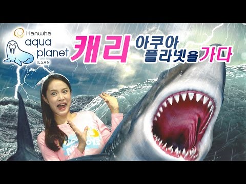 캐리의 한화 아쿠아플라넷 일산 방문기 CarrieAndToys