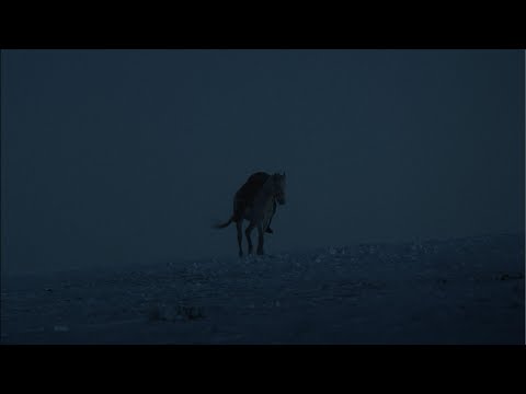 Graveyard of Horses'