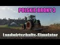 Polskie Brony 3 v1.0.0.0