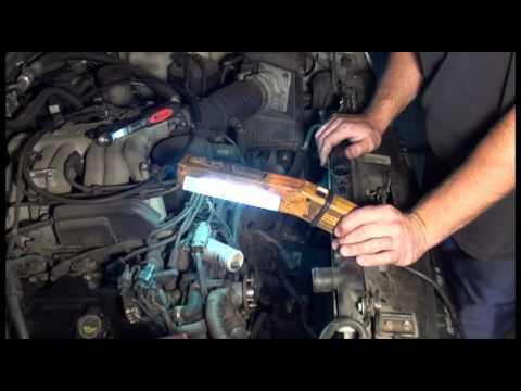 1997 Nissan truck thermostat replacement #4