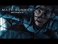 Button to run trailer #7 of 'The Maze Runner'
