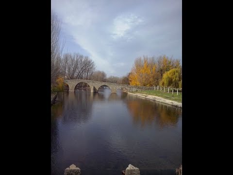 Property video