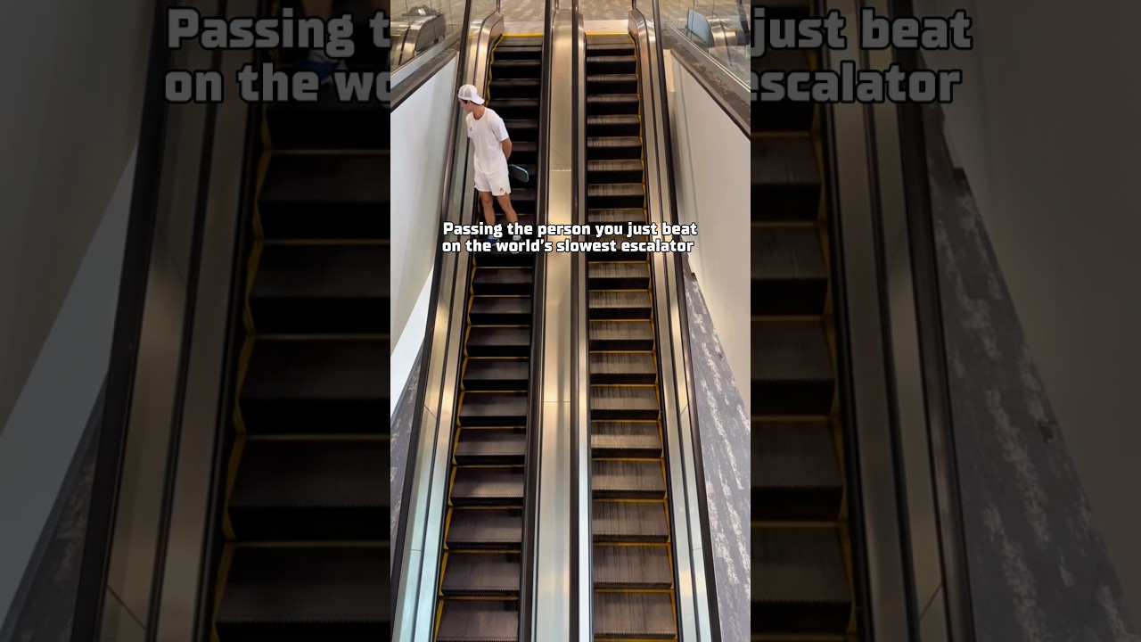 Should’ve Taken the Stairs