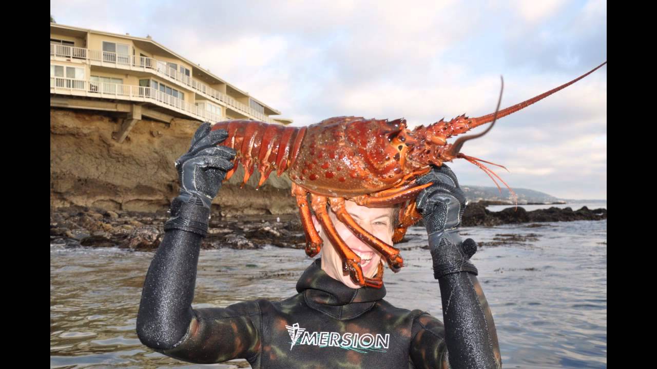 My Giant 12lbs Lobster Youtube