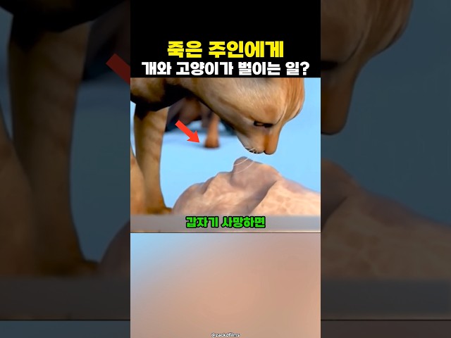 주인이 세상을 떠나면 벌어지는 충격적인 일?