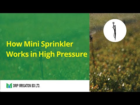 video Mini Sprinkler