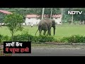 Video: Army Camp में पहुंचा हाथी, Football को किक लगाता आया नजर