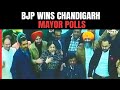 BJP Wins Chandigarh Mayor Elections In First Poll Battle Versus INDIA Bloc