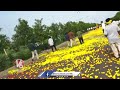 Flower Shower On AP CM Chandrababu At Vijayawada | V6 News  - 03:08 min - News - Video