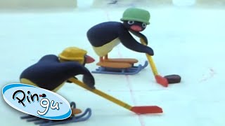 Pingu  hr hokej