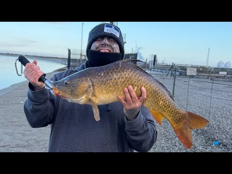 Carlos Orellana Fishing Carp and Stripers Christmas Weekend At the Aquaduct Thaft Bakersfield Ca.
