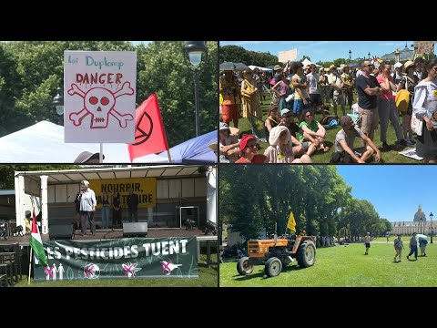 Protesters march in Paris against law reauthorising banned insecticides | AFP