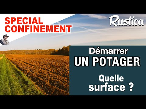 Mon premier potager : quelle surface pour démarrer ?