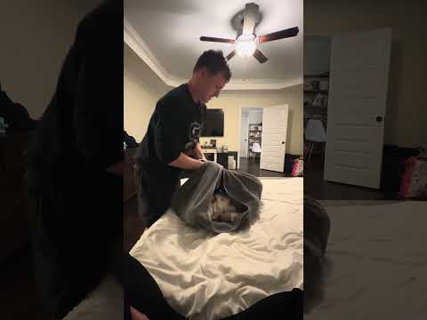 Core memory in progress.