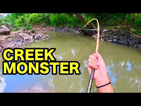 70 LB MONSTER in a TINY CREEK!!! (INSANE)