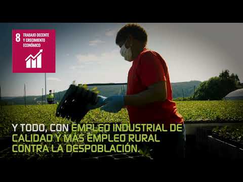 imagen12