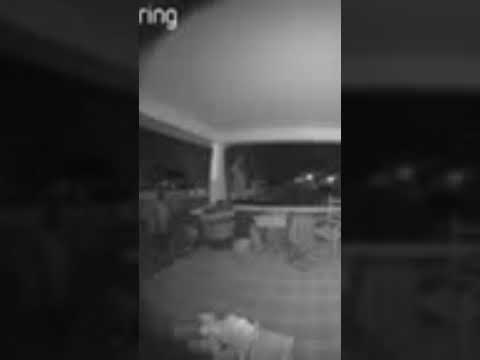 Obscene Ring Doorbell Fart