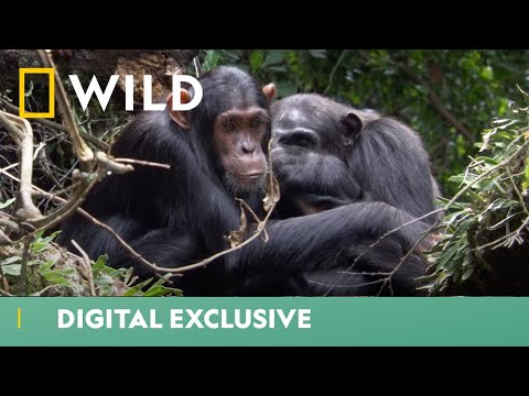 Africa's Hidden Wonders'