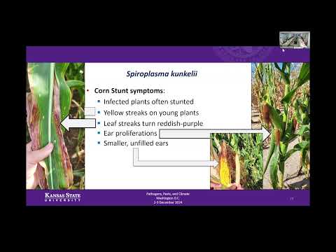 Pests and Climate Workshop - James Stack