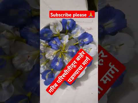 #गरिब परिस्थिती तून बाहेर पडण्याचा मार्ग # अपराजिता चे फुल शिवलिंग वर वाहणे #trending #viral short #