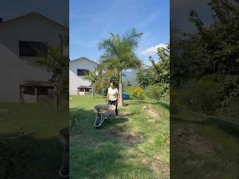 Ya me había perdido pero regresé otra vez 😅❤️ #parati #vbloger #fypシ #viralvideo