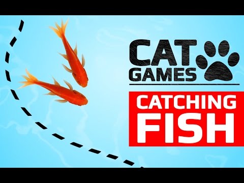 CAT GAMES - CATCHING FISH (ENTERTAINMENT VIDEOS FOR CATS TO WATCH)