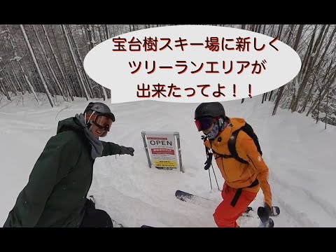 宝台樹スキー場の新ツリーランエリアを紹介