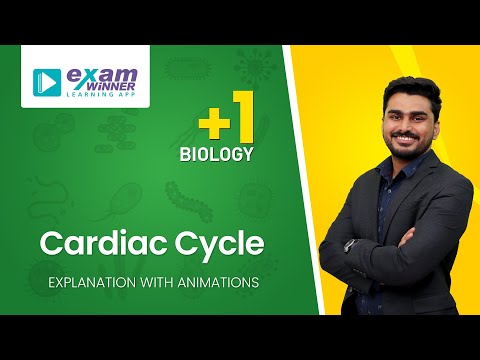 Cardiac Cycle | Explanation with Animations | Body Fluids and Circulations |