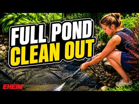 Full Pond Clean Out | Fresh Start with EHEIM
