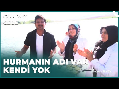 Beş Çayları Çökelek Hurmasız Olmaz | Gündüz Gece