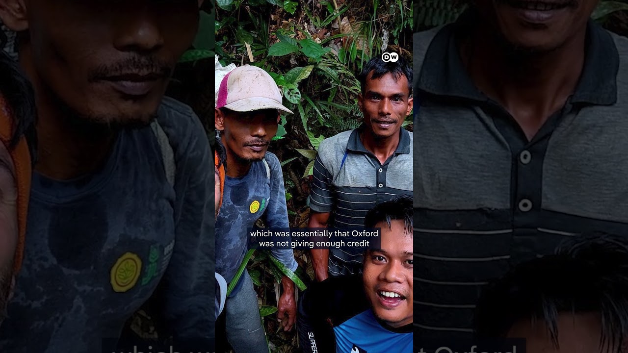 Rare Indonesian flower "rediscovered" | DW News