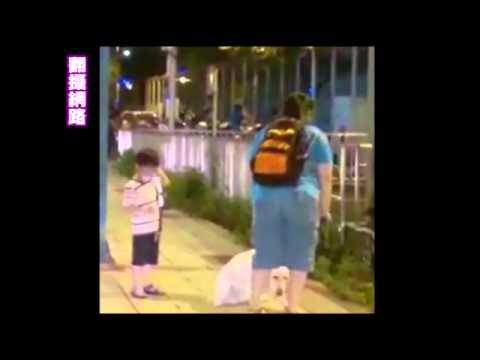 網友直擊！悍盲女狠拉摔地虐導盲犬 - 20110704