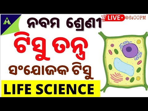 class 9 Life science in odia |ଟିସୁ ତନ୍ତ୍ର  | Chapter - 3| Tissue Tantra in odia | ସଂଯୋଜକ ଟିସୁ