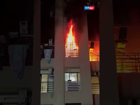 Breaking Fire Erupts on 3rd Floor of Kalpavruksha Complex at Virar No Injuries Reported  17K views  play Short