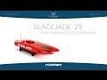 pro boat blackjack 24
