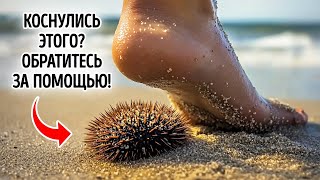 Необычные обитатели глубин: факты, которые вас удивят