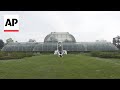 London’s Royal Botanic Gardens, Kew showcases sculptures inspired by nature