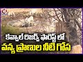Water Scarcity In Kawal Reserve Forest | Adilabad |  V6 News