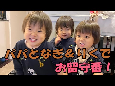 【5月のとある日を振り返る】三つ子3人のうち2人ならパパ一人でも何とかなる！の動画。