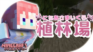 【 Minecraft 】 植林場の天井づくり～～！完成まですすめたい～～⛏ 【 季咲あんこ / ななしいんく 】