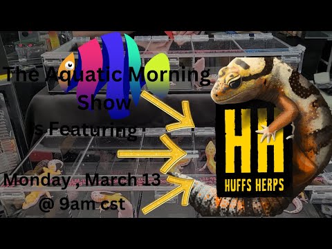 The Aquatic Moring Show The Aquatic Morning Show is a YouTube channel that features videos about all things aquatic, includi