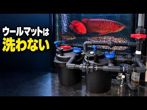 濾過革命！？ 回すだけで掃除完了。大型魚飼育を劇的に楽にする濾過設備
