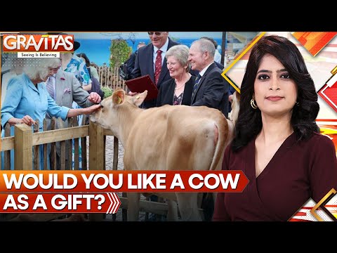 Gravitas: King Charles & Queen Camilla gifted seven cows on visit to Jersey