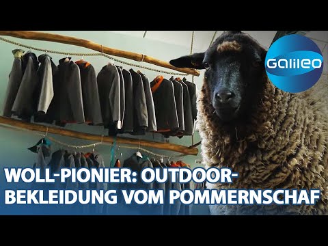 Green Hero: Woll-Pionier erfindet Outdoor-Bekleidung vom Pommernschaf