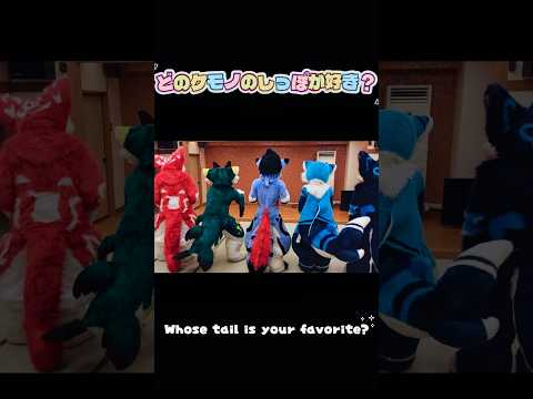 Whose tail is your favorite? どのケモノのしっぽが1番好き？ 【ケモノ着ぐるみ/Fursuit】