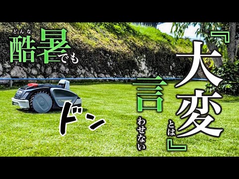 【芝生常識が変わる】最新ロボットで作り上げる超綺麗な芝生