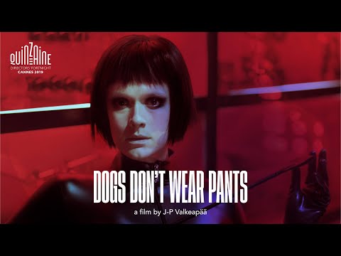 Dogs Don't Wear Pants'