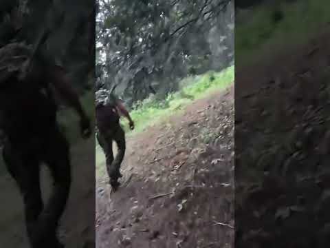 Squeaky satellite bull #subscribe #elk #archery #kuiu #mathews #verde #shorts #september