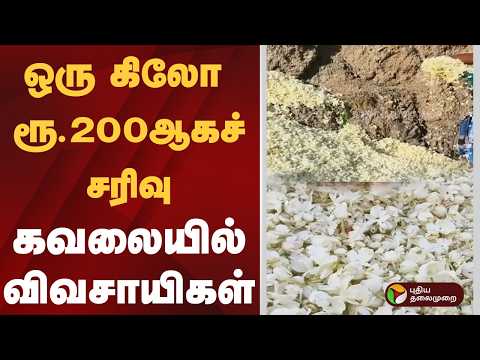 ஒரு கிலோ ரூ.200ஆகச் சரிவு: கவலையில் விவசாயிகள் | Krishnagiri