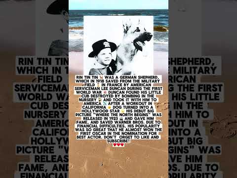 The dog who became a Hollywood star…